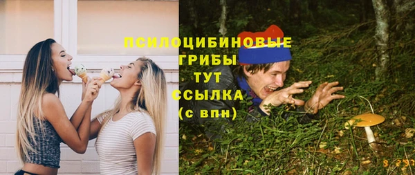 дживик Аркадак